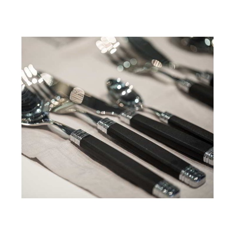 Rossini - Posate Colorate Rivadossi - set 75 pz Nero - 