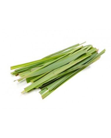 Olio Essenziale Concentrato - Belforte - Fragranza Geranio e Citronella 15 ML - 
