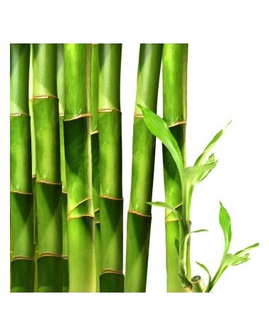 Profumatore Ambiente Spray Bamboo Lime - 100 ml - Belforte Fragranze Italiane - 