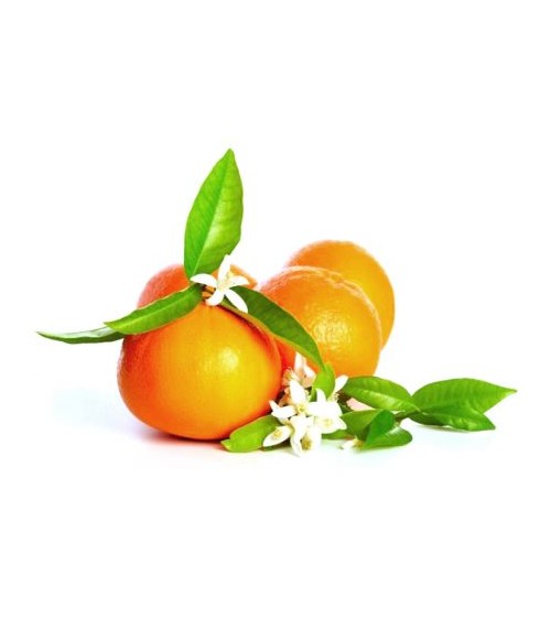 Odessa Lufterfrischerspray – 100 ml – Belforte Italian Fragrances - 