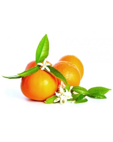 Odessa Lufterfrischerspray – 100 ml – Belforte Italian Fragrances - 