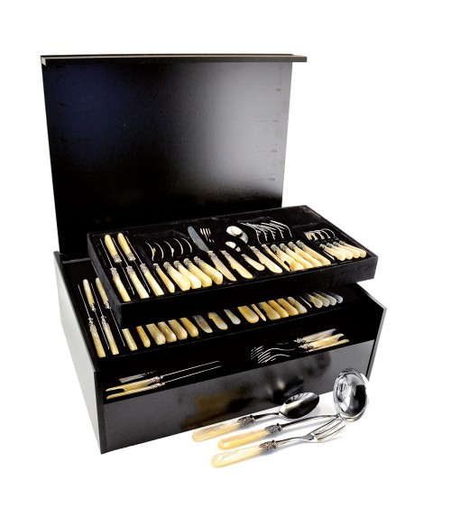 Set Posate Colorate 75 Pezzi Arcadia in Confezione Astuccio in Legno - Eme Posaterie - 