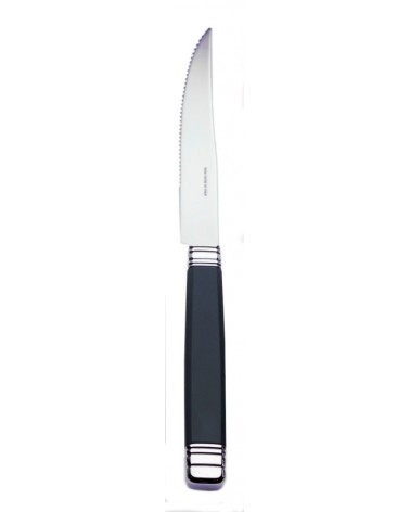 Rossini Rivadossi Modernes Besteck - Set 6-tlg. Steak Messer - 