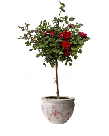 Royal Family - Portavaso "Armonia di Rose" - 