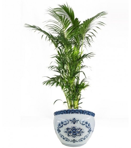Royal Family - Cachepot "Sorrento" - 