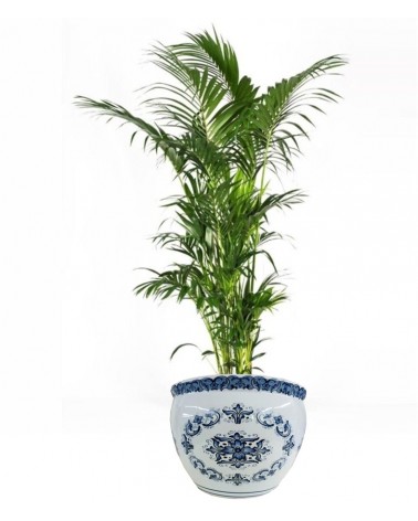 Famille Royale - Cache pot "Sorrento" - 