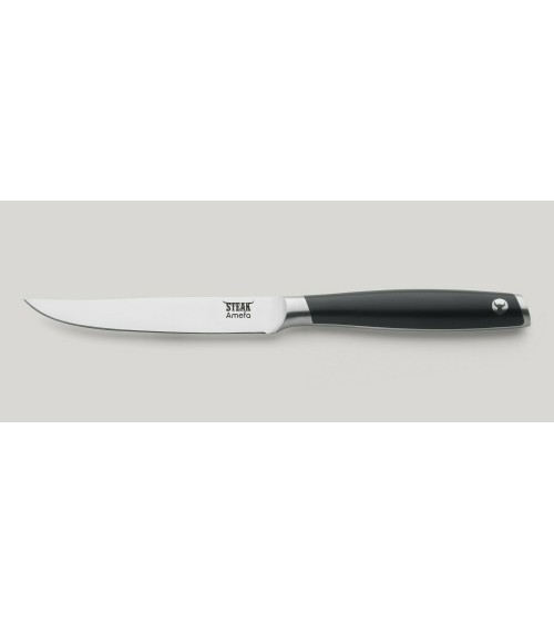 Tenderloin Stainless Steel Steak Knife - Amefa -