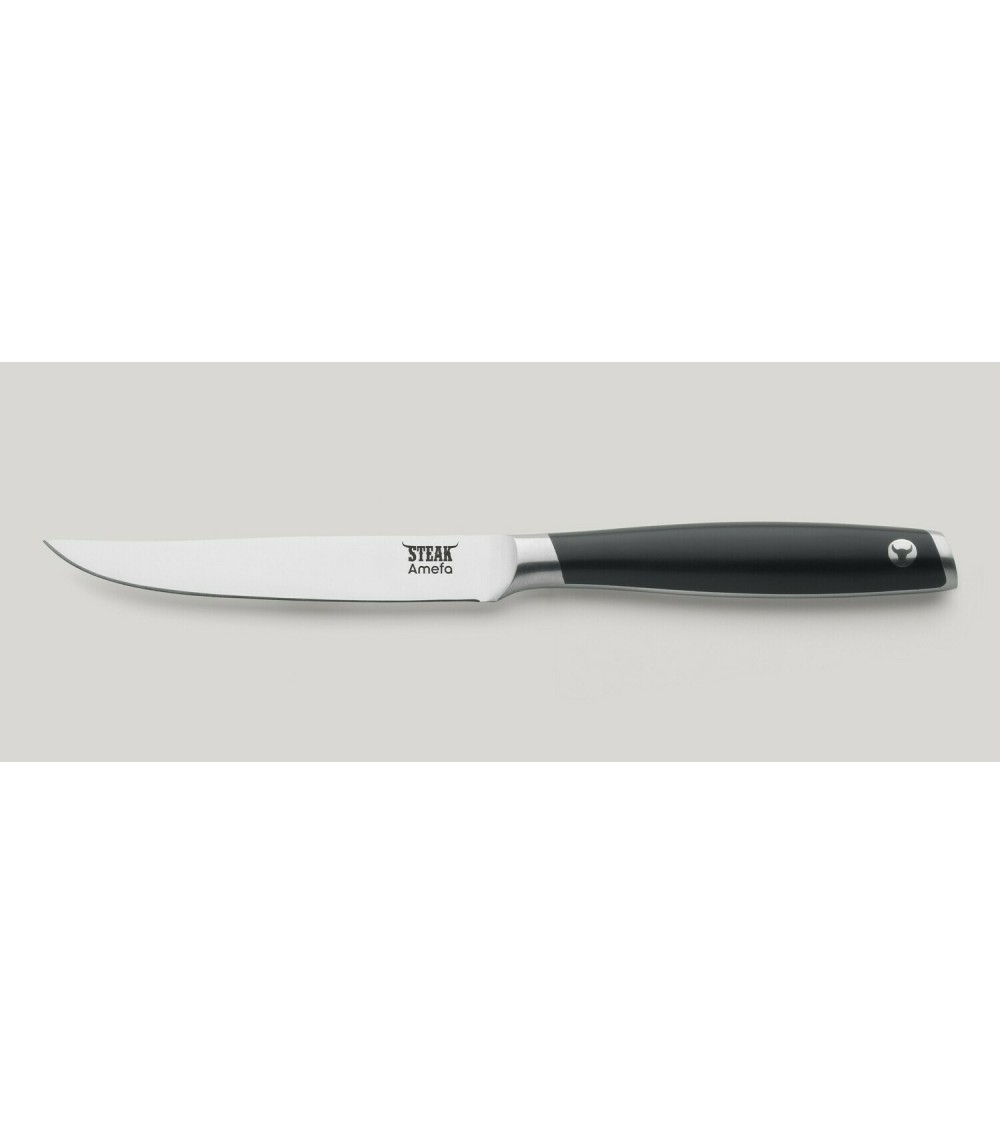 Filetsteakmesser aus Edelstahl - Amefa -