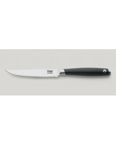 Filetsteakmesser aus Edelstahl - Amefa -