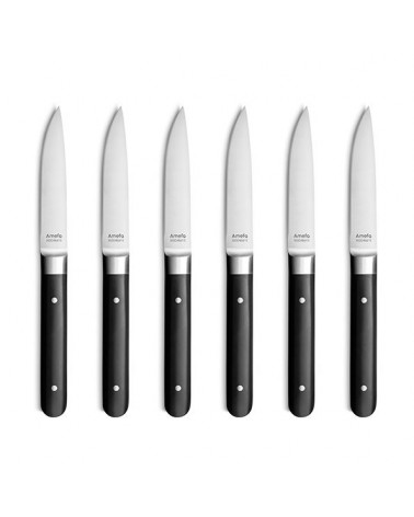 Fusion - Set 6 Coltelli da Carne in Acciaio Amefa - 