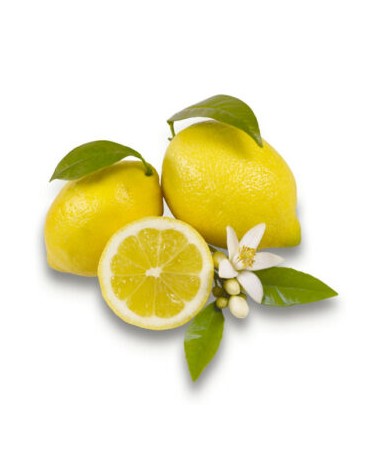 Konzentriertes ätherisches Öl – Belforte – Zitronen-Moschus-Duft, 15 ml - 