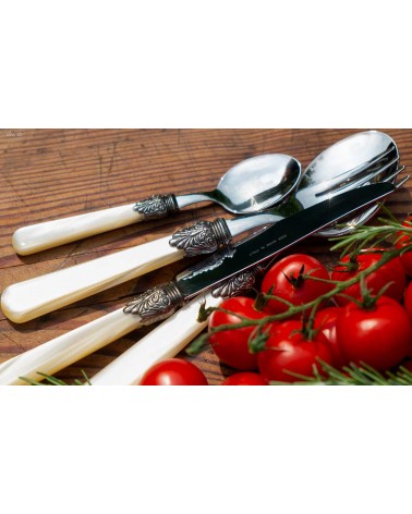 Elena Service 75-teiliges Rivadossi Sandro farbiges Besteck -