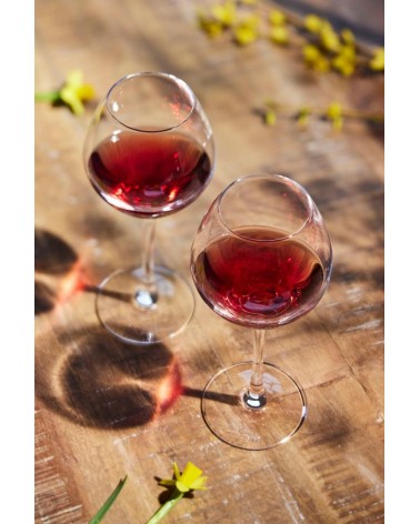 47CL Glas für Rotweine - Wine Emotions - Set 4tlg - 