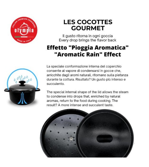 Induction Pan "Les Cocottes Gourmet" par Olympia -