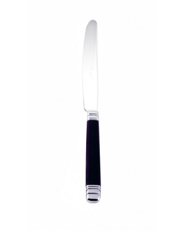Coltellino da Dolce cm 17 - Modello Rossini - Posate Acciaio Inox Colorate Rivadossi Sandro Made in Italy - viola