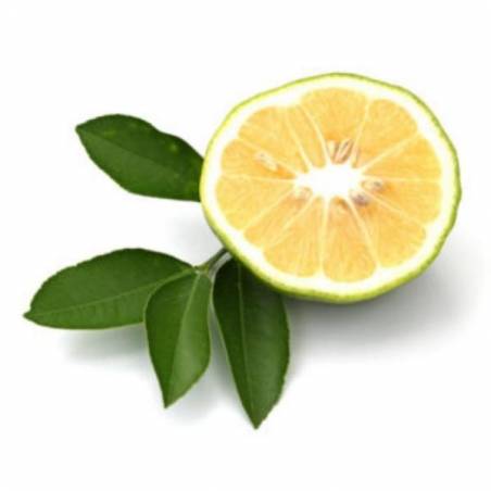 Belforte Concentrated Essential Oil - Bergamot Fragrance 15ml -  - 