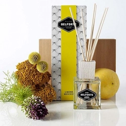 Elegante diffusore di profumo per ambienti con bastoncini in legno e boccetta di design